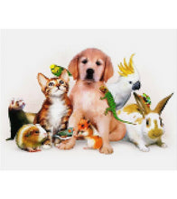 Load image into Gallery viewer, Pets Companion Paint with Diamonds - Art Providore