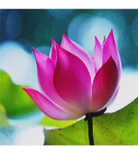 Load image into Gallery viewer, Pink Lotus Paint with Diamonds - Art Providore