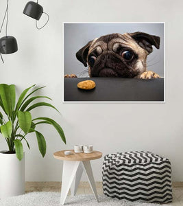 Pug Wants the Cookie Paint with Diamonds - Art Providore