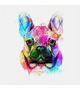 Splendid Bulldog Paint with Diamonds - Art Providore