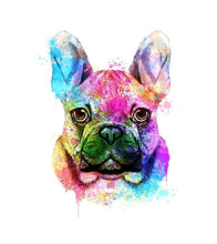 Load image into Gallery viewer, Splendid Bulldog Paint with Diamonds - Art Providore