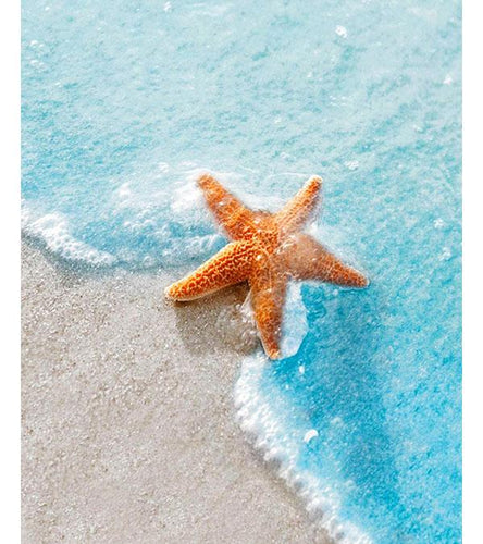 Starfish Paint with Diamonds - Art Providore