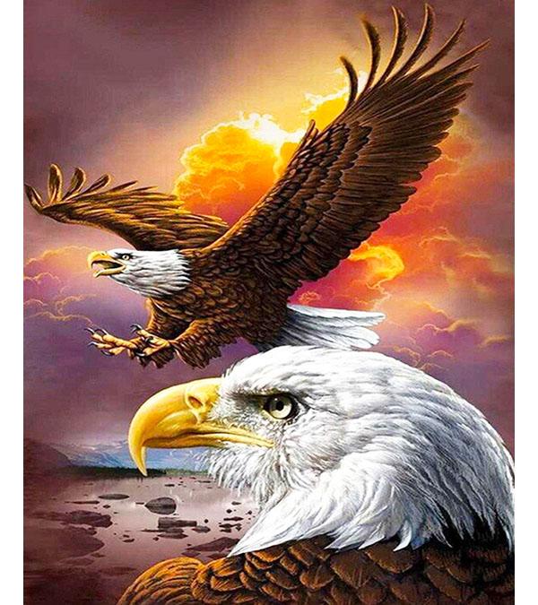 The Great Bald Eagles Paint with Diamonds - Art Providore