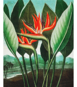 The Queen–Plant Paint with Diamonds - Robert John Thornton - Art Providore