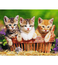 Load image into Gallery viewer, Three Kittens Paint with Diamonds - Art Providore