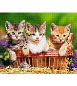 Three Kittens Paint with Diamonds - Art Providore