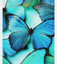 Load image into Gallery viewer, Turquoise Butterflies Paint with Diamonds - Art Providore