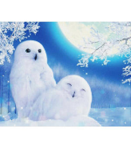 White Owl Couple Paint with Diamonds - Art Providore