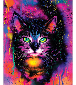Artistic Cat Paint by Numbers - Art Providore
