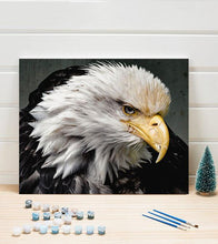 Load image into Gallery viewer, Bald Eagle Paint by Numbers - Art Providore