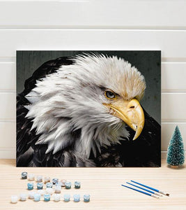 Bald Eagle Paint by Numbers - Art Providore