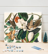 Load image into Gallery viewer, Black-billed Cuckoo Paint by Numbers - John James Audubon - Art Providore