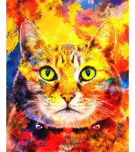 Load image into Gallery viewer, Cat in Green Eyes Paint by Numbers