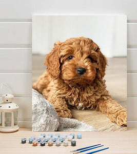 Cavapoo Dog Paint by Numbers - Art Providore
