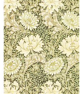 Chrysanthemum Pattern Paint by Numbers - William Morris - Art Providore