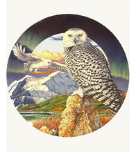 Load image into Gallery viewer, Flying Owl Paint by Numbers - Art Providore