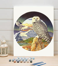 Load image into Gallery viewer, Flying Owl Paint by Numbers - Art Providore