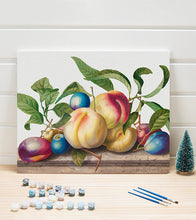 Load image into Gallery viewer, Fruits Arrangement Paint by Numbers - Art Providore