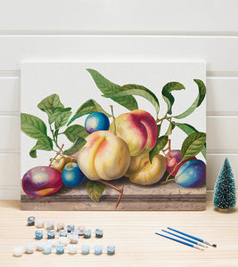 Fruits Arrangement Paint by Numbers - Art Providore