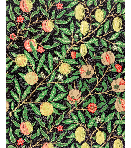 Fruit Pattern Paint by Numbers - William Morris - Art Providore