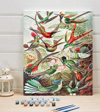 Load image into Gallery viewer, Hummingbirds Paint by Numbers - Ernst Haeckel - Art Providore