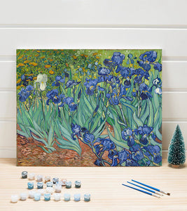 Irises Paint by Numbers - Vincent van Gogh - Art Providore