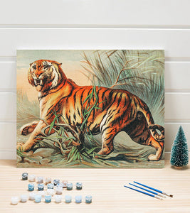 Royal Bengal Tiger Paint by Numbers - John Karst - Art Providore