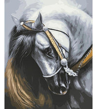 Load image into Gallery viewer, White Horse Paint by Numbers - Art Providore