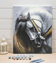 Load image into Gallery viewer, White Horse Paint by Numbers - Art Providore