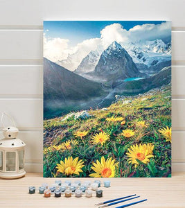 Wildflowers in the Mountain Paint by Numbers - Art Providore