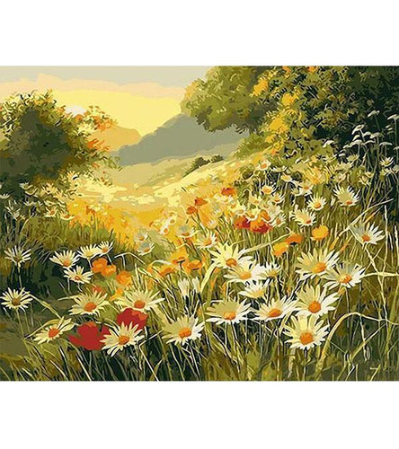 Yellow Daisy Field Paint by Numbers - Art Providore